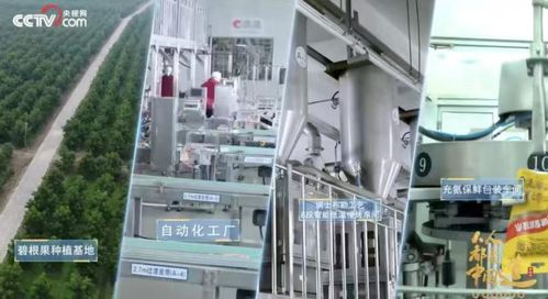 洽洽食品2024年首季業(yè)績亮眼 場景與渠道創(chuàng)新驅(qū)動(dòng)收入利潤雙增